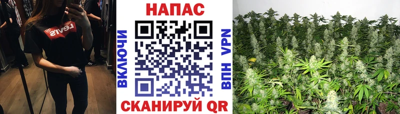 Купить где  Татарск  Каннабис конопля 